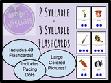 Multi-syllabic Word Flash Cards (2 & 3 syllable words)