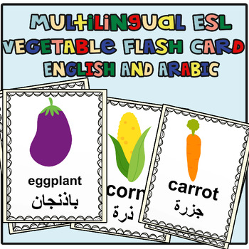 Preview of Multilingual ESL vegetable Flashcards - English and Arabic 2