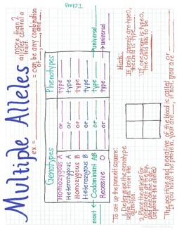 Multiple Allels Worksheets Teaching Resources Tpt
