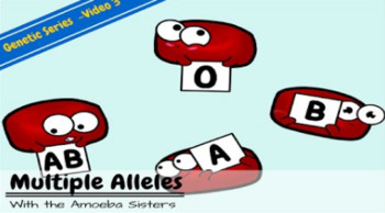 Multiple Alleles Abo Blood Types Answer Key By The Amoeba Sisters