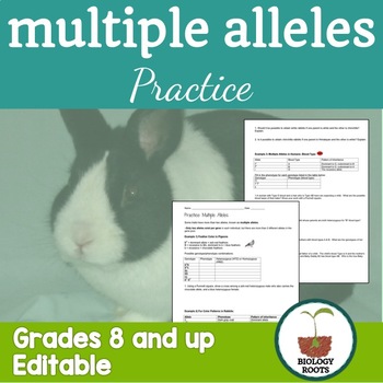 Preview of Genetics: Multiple Alleles Worksheet