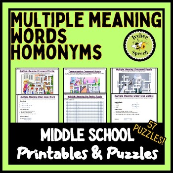 Preview of Multiple Meaning Homonym Middle School Printable Puzzles and Worksheets