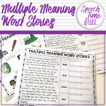 Preview of Multiple Meaning Word Stories
