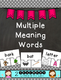 Multiple Meaning Words