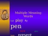 Multiple Meaning Words