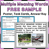 Multiple Meaning Words Activities FREEBIE
