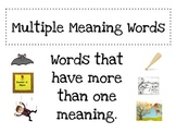 Multiple Meaning Words Anchor Chart