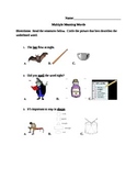 Multiple Meaning Words Assessment