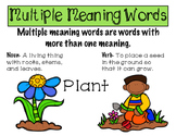 Multiple Meaning Words Poster and Booklet