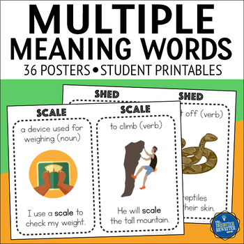 Preview of Multiple Meaning Words Posters