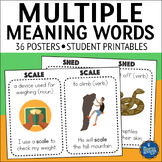 Multiple Meaning Words Posters