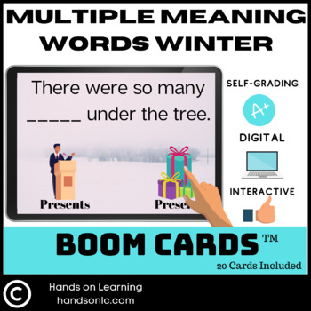 Preview of Multiple Meaning Words Winter Boom Cards
