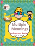 Multiple Meaning words An emergent reading book