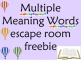 Multiple Meaning words escape room