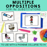 Multiple Oppositions Cards for /h/ Substitutions | Speech Therapy