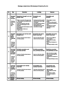 Preview of Multiple Science Rubrics