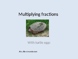 Multiplying Fractions with Turtle Eggs