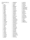 Multisyllabic Word List - Words from REWARDS reading program