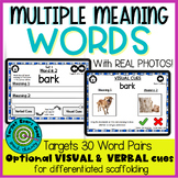 Multiple Meaning Words for Speech Therapy | Homonyms | BOO