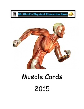 Preview of PE Muscle Cards