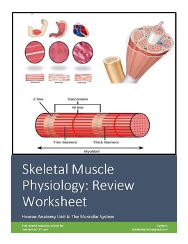 Preview of Muscle Cell Anatomy & Physiology: A Review Quiz (Worksheet) Virtual Friendly