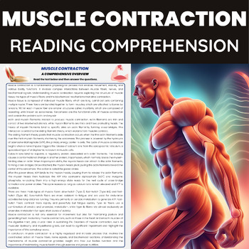 Preview of Muscle Contraction  | Skeletal System & Muscle Function | Human Biology