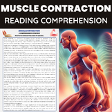 Muscle Contraction  | Skeletal System & Muscle Function | 