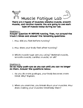 Preview of Muscle Fatigue Lab