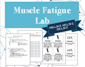 Preview of Muscular System - Muscle Fatigue Lab (NGSS MS- LS1-3, HS-LS1-2, HS-LS1-3)