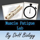 Muscle Fatigue Lab