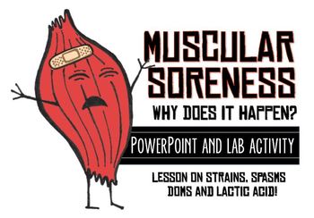 Preview of Muscle Fatigue Presentation and Lab!  Great for the Muscular System!