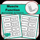 Muscle Function Matching Activity