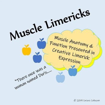 Preview of Muscle Limericks