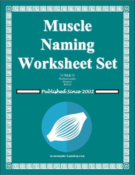 Preview of Muscle Naming Worksheet and Table Set