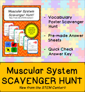 Preview of Muscle System Scavenger Hunt