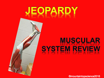 Preview of Muscle System Review Jeopardy  Anatomy and Biology