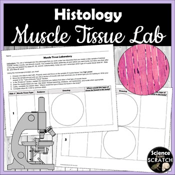 Preview of Muscle Tissue Laboratory (Histology)