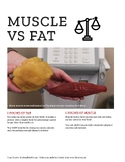 Muscle VS. Fat