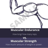 Health-Related Fitness Components Posters/Print outs