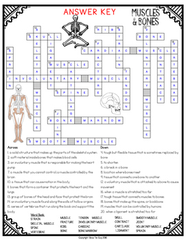 Bone Anatomy Crossword : Bones Crossword Wordmint | The ...