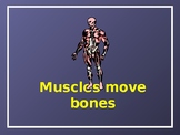 Muscles and Bones PowerPoint