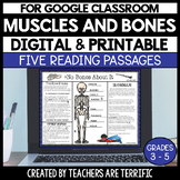 Muscles and Bones Reading Passages - Digital & Printable