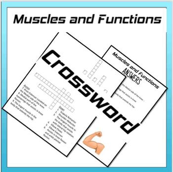 Preview of Muscles and their Functions Crossword