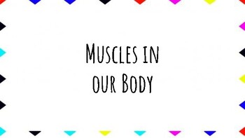 Preview of Muscles in the Human Body