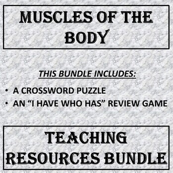 Preview of Muscles of the Body Teaching Resources Bundle (Anatomy and Physiology)