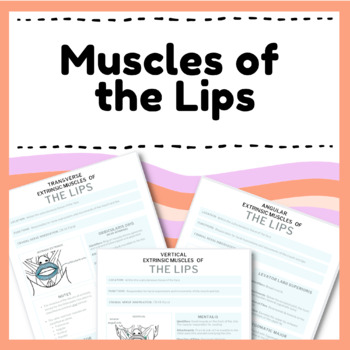Preview of Muscles of the Lips: Intrinsic & Extrinsic - Anatomy & Physiology