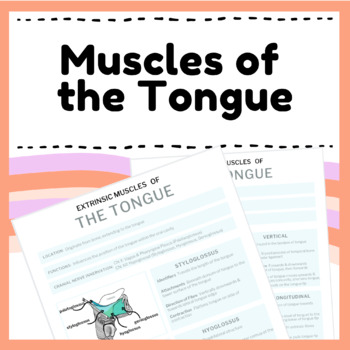 tongue muscles anatomy