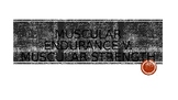 Muscular Endurance V Muscular Strength