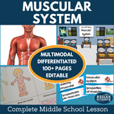 Muscular System Complete 5E Lesson Plan