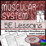Muscular System 5E Lessons No Textbook, No Problem!